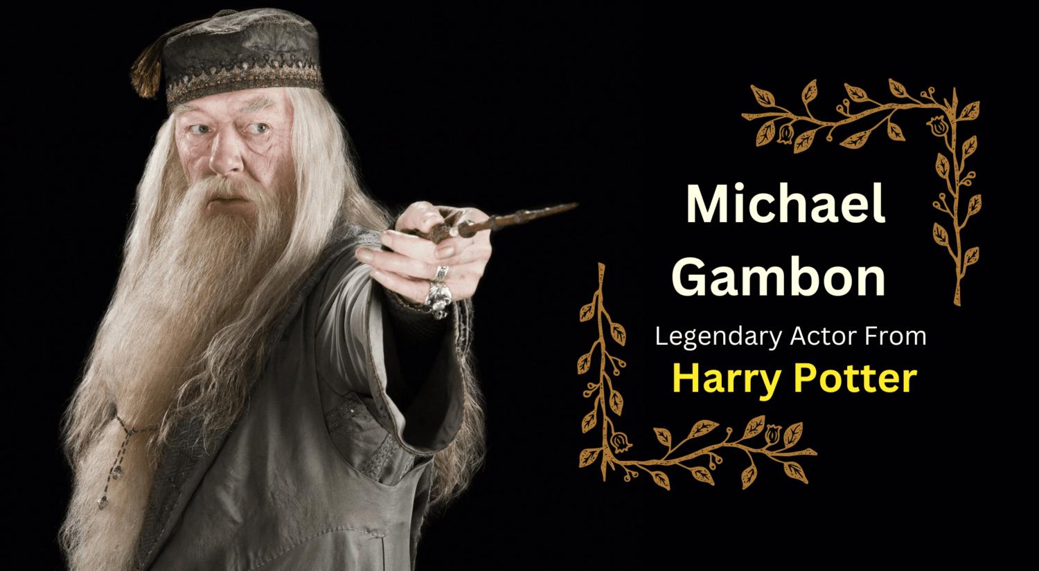 Harry Potter Dumbledore Michael Gambon Dies 2023
